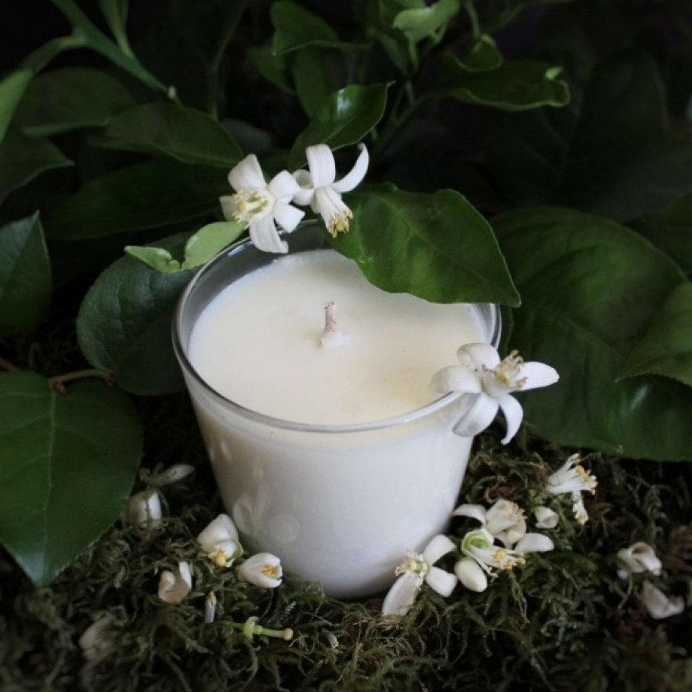 D&M Magnolia & Jasmine Lux Soy Candle (SOLD OUT)